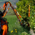 Hedge trimmer: an efficient solution for your hedges